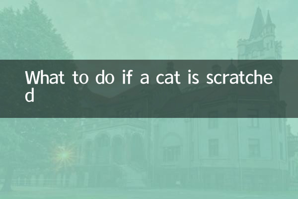 اگر بلی کھرچ گئی ہے تو کیا کریں