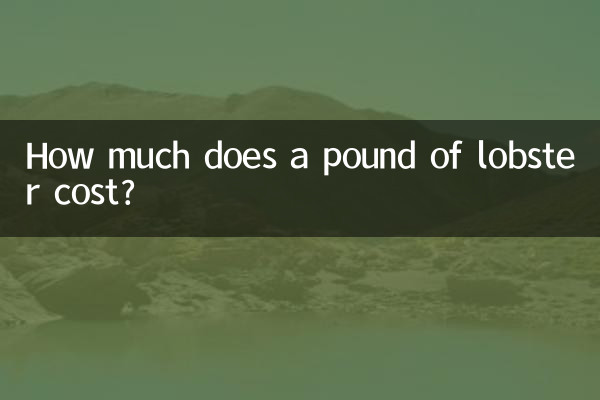 Quanto costa un chilo di aragosta?