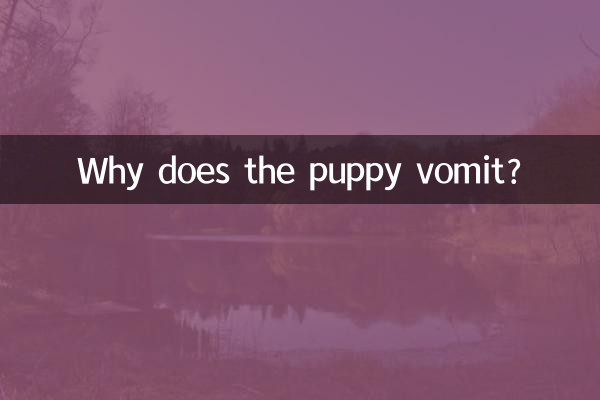 Pourquoi le chiot vomit-il ?