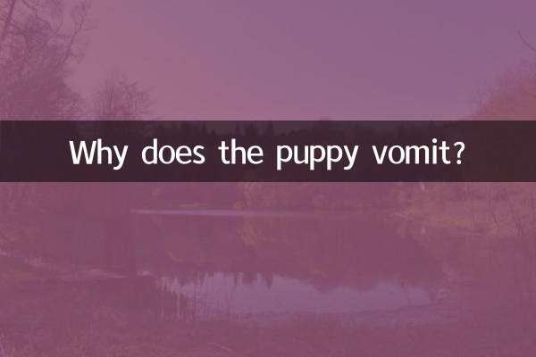 Warum erbricht der Welpe?
