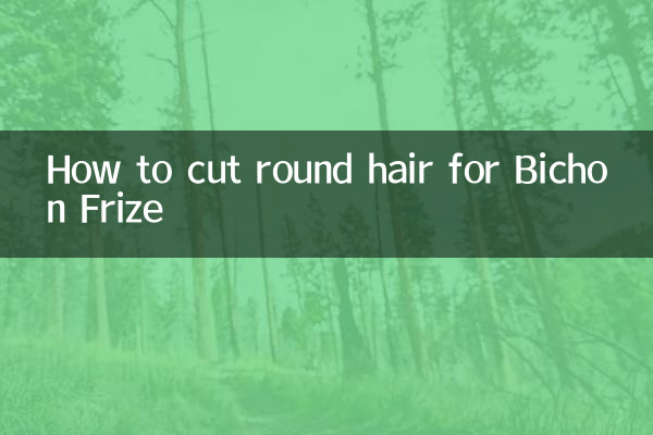 Como cortar cabelo redondo para Bichon Frise