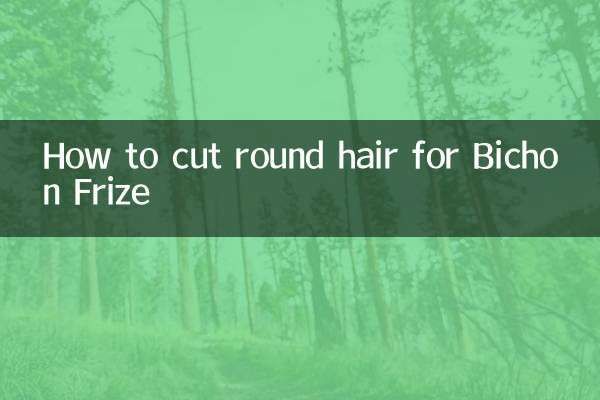ビションフリーゼの丸い髪のカット方法