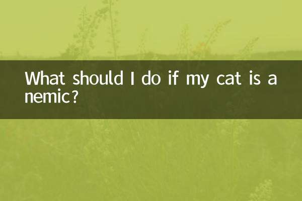 貓貧血了怎麼辦