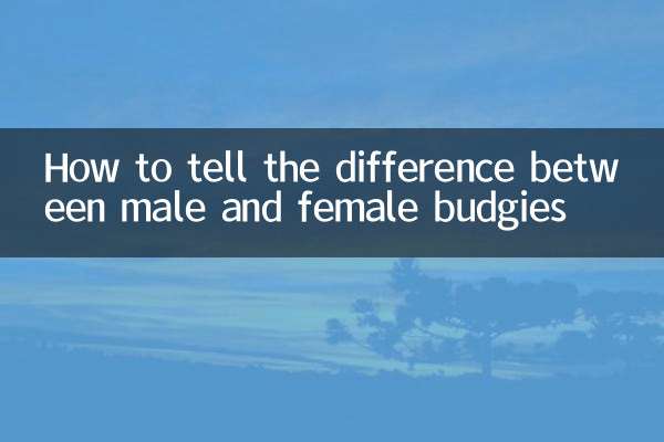 Come distinguere tra pappagallini maschi e femmine