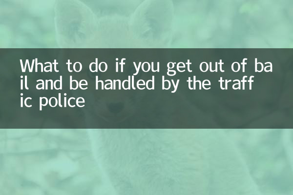 보석금을 면제받고 교통경찰의 처리를 받는 경우 해야 할 일