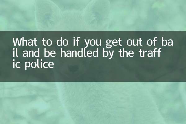 보석금을 면제받고 교통경찰의 처리를 받는 경우 해야 할 일
