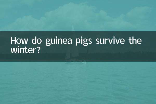モルモットはどうやって冬を乗り越えるのでしょうか？