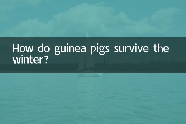 モルモットはどうやって冬を乗り越えるのでしょうか？