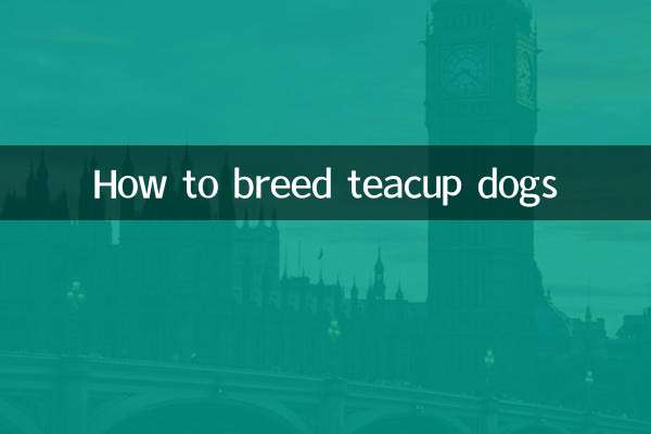 ティーカップドッグの育て方