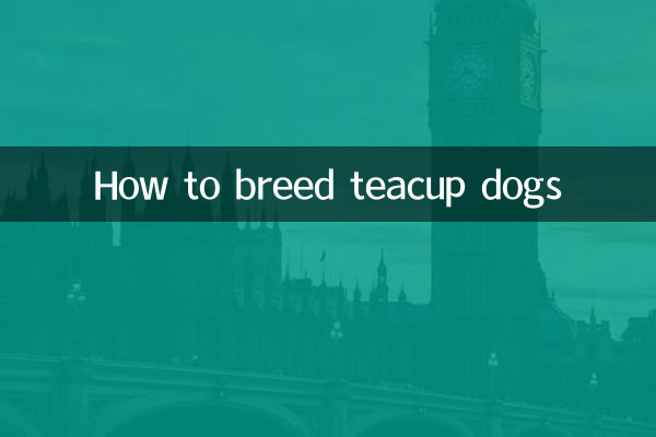 ティーカップドッグの育て方