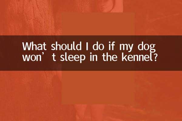 ¿Qué debo hacer si mi perro no quiere dormir en la caseta?