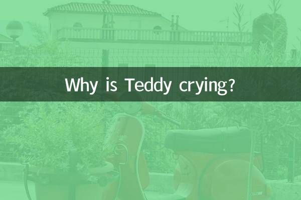 Почему Тедди плачет?
