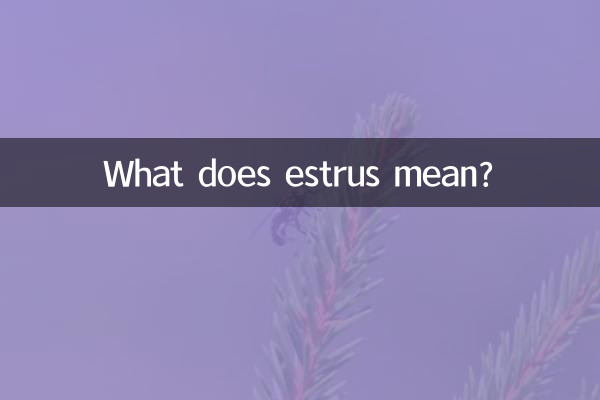 O que significa estro?