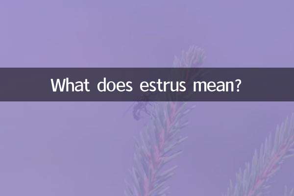 What does estrus mean?