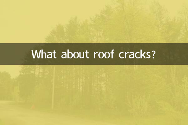 What about roof cracks?
