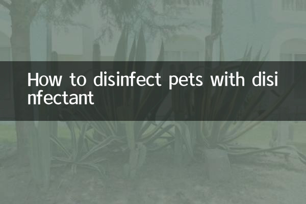 Come disinfettare gli animali domestici con disinfettante
