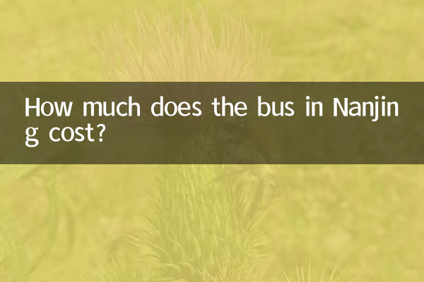 How much does the bus in Nanjing cost?