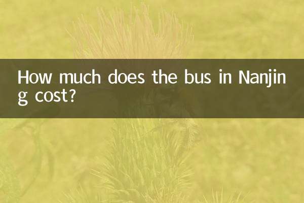 Wie viel kostet der Bus in Nanjing?