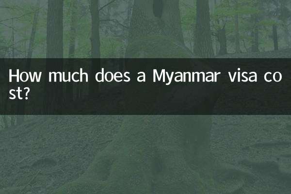 Quanto costa il visto per il Myanmar?
