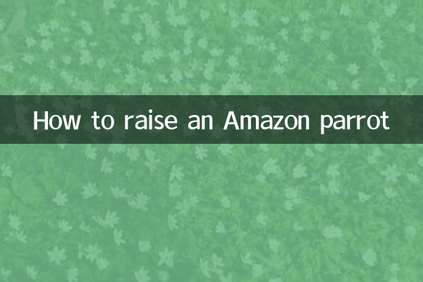 Wie man einen Amazonas-Papagei großzieht