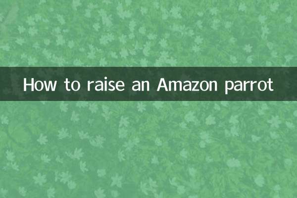 Wie man einen Amazonas-Papagei großzieht