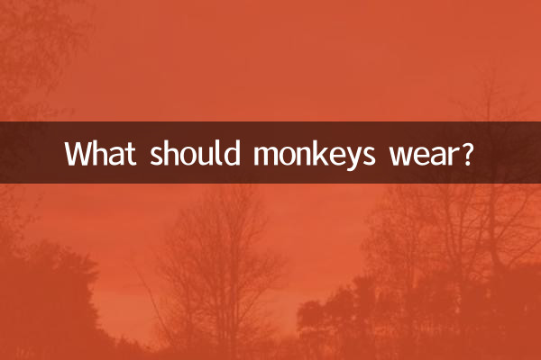 Что должны носить обезьяны?