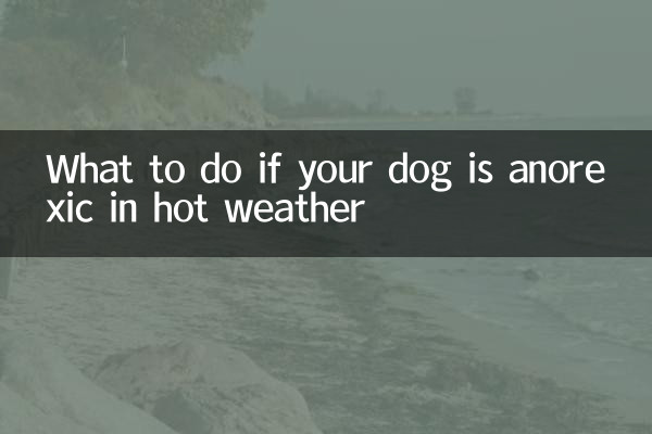 यदि आपका कुत्ता गर्म मौसम में एनोरेक्सिक है तो क्या करें?