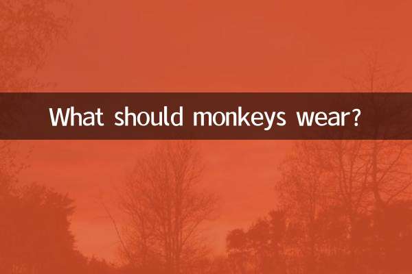 میمون ها چه بپوشند؟