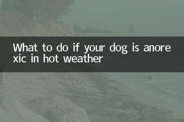 天熱犬厭食怎麼辦