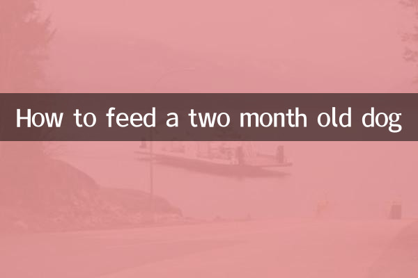 दो महीने के कुत्ते को कैसे खिलाएं?