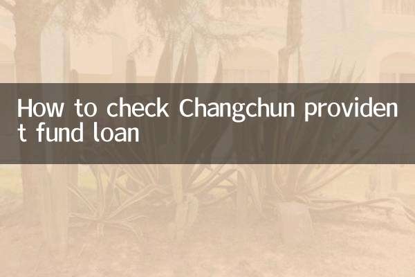 Como verificar o empréstimo do fundo de previdência de Changchun
