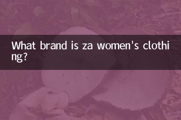 Какой марки женская одежда?