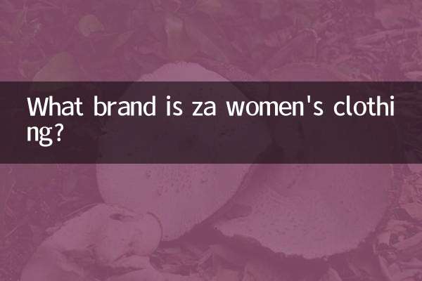 za女裝是什麼牌子