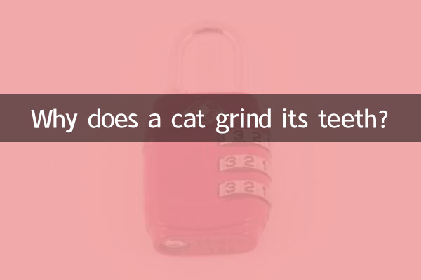 چرا گربه دندان قروچه می کند؟