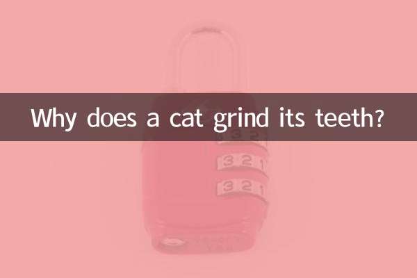 Perché un gatto digrigna i denti?