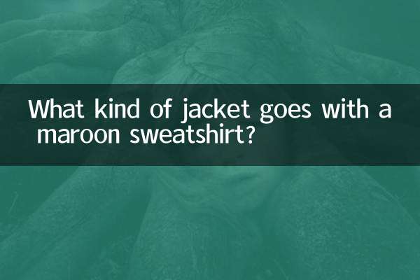 栗色のスウェットシャツにはどんなジャケットが合いますか？