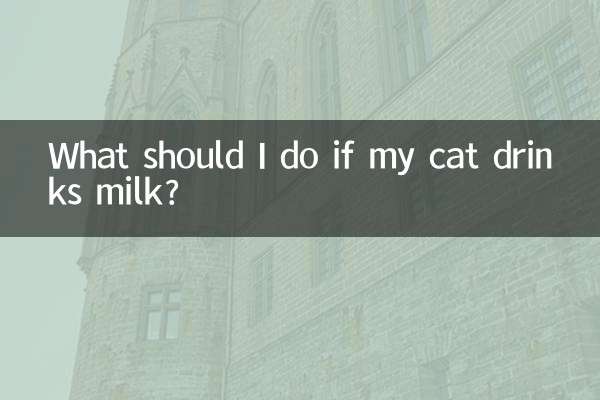 اگر میری بلی دودھ پیتا ہے تو مجھے کیا کرنا چاہئے؟