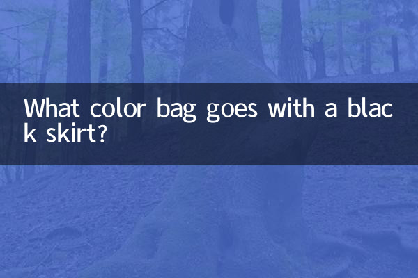 Quelle couleur de sac va avec une jupe noire ?