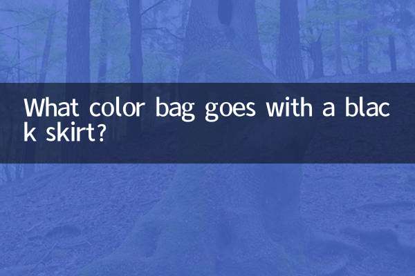 What color bag goes with a black skirt?