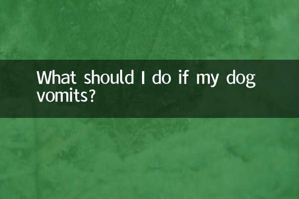 狗狗呕吐了怎么办