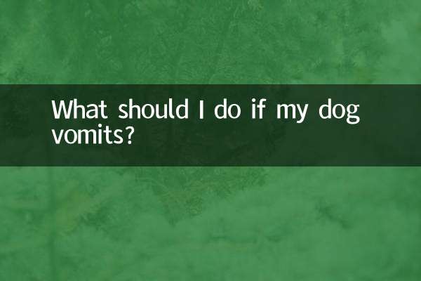 狗狗呕吐了怎么办