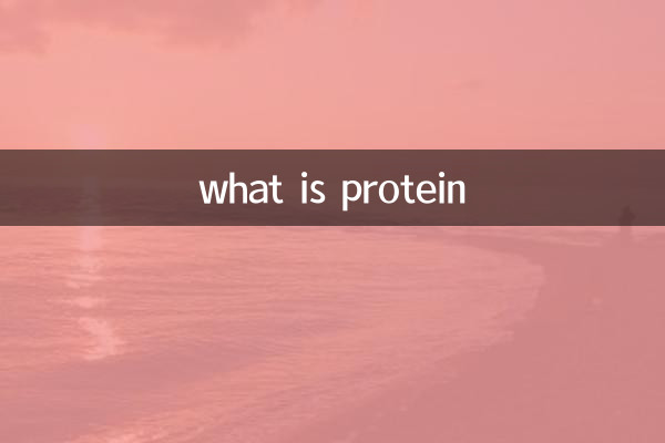 什么东西是蛋白质