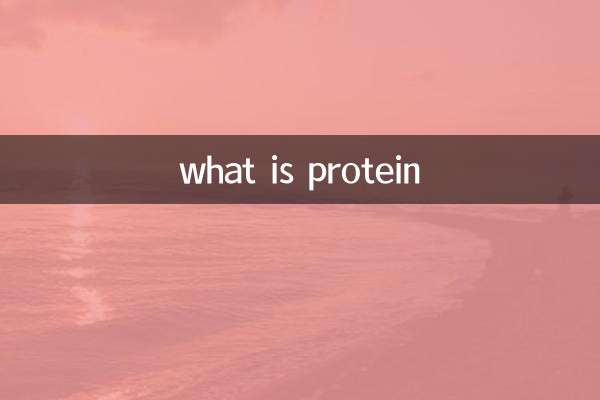 什么东西是蛋白质