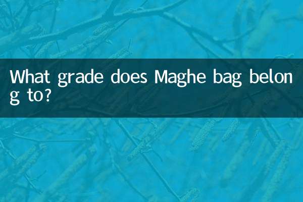 A que série pertence a bolsa Maghe?