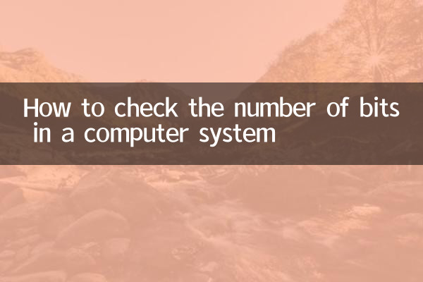 How to check the number of bits in a computer system