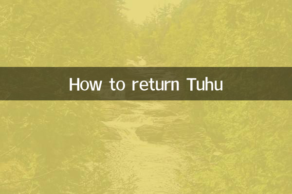 چگونه توهو را برگردانیم