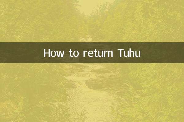 তুহু কিভাবে ফিরবে