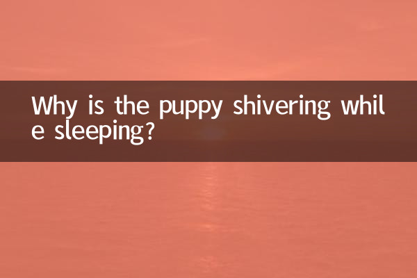 কুকুরছানা ঘুমানোর সময় কাঁপছে কেন?