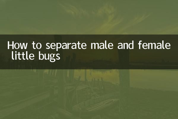 Come separare i piccoli insetti maschi e femmine