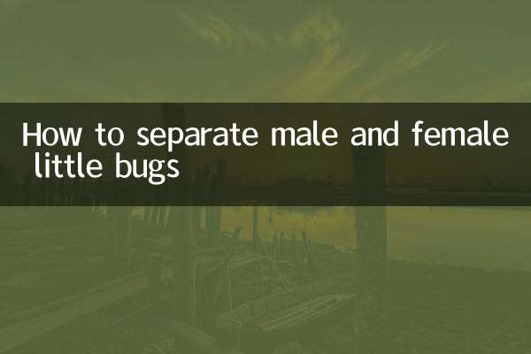 Come separare i piccoli insetti maschi e femmine
